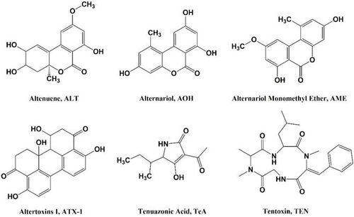 新疆農(nóng)業(yè)大學(xué)夏利寧教授團(tuán)隊(duì)提出反芻動(dòng)物飼料中新興霉菌毒素污染物的防控技術(shù)