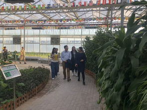 黃瓜小鎮的神秘客人 農業科學研究和試驗發展的新篇章