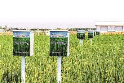 省農科院鄂州基地 現代科技賦能，感受農業發展的堅實底氣