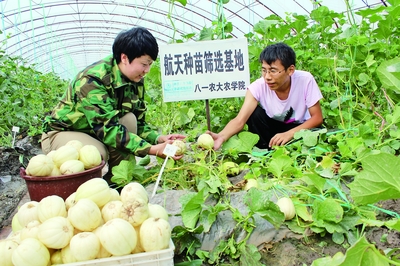 十三五開局之年 經濟社會發展平穩，農業科研試驗發展邁出新步伐