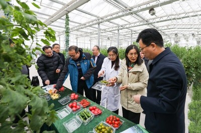 省農(nóng)業(yè)農(nóng)村廳副廳長曹麗虹一行調(diào)研我院溧水基地設(shè)施農(nóng)業(yè)和智慧農(nóng)業(yè)場景建設(shè)